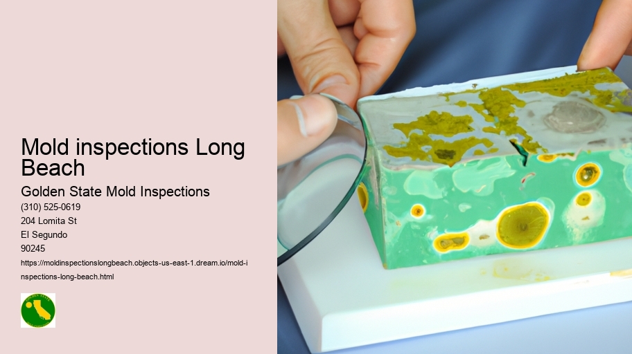 Mold inspections Long Beach