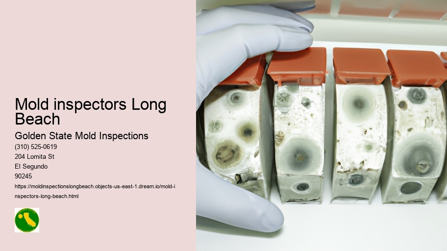 Mold inspectors Long Beach